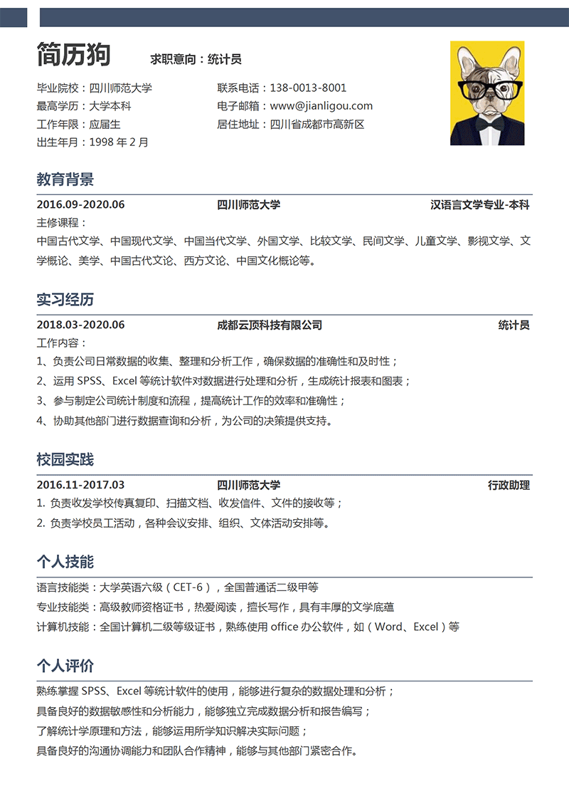 统计员简历模板