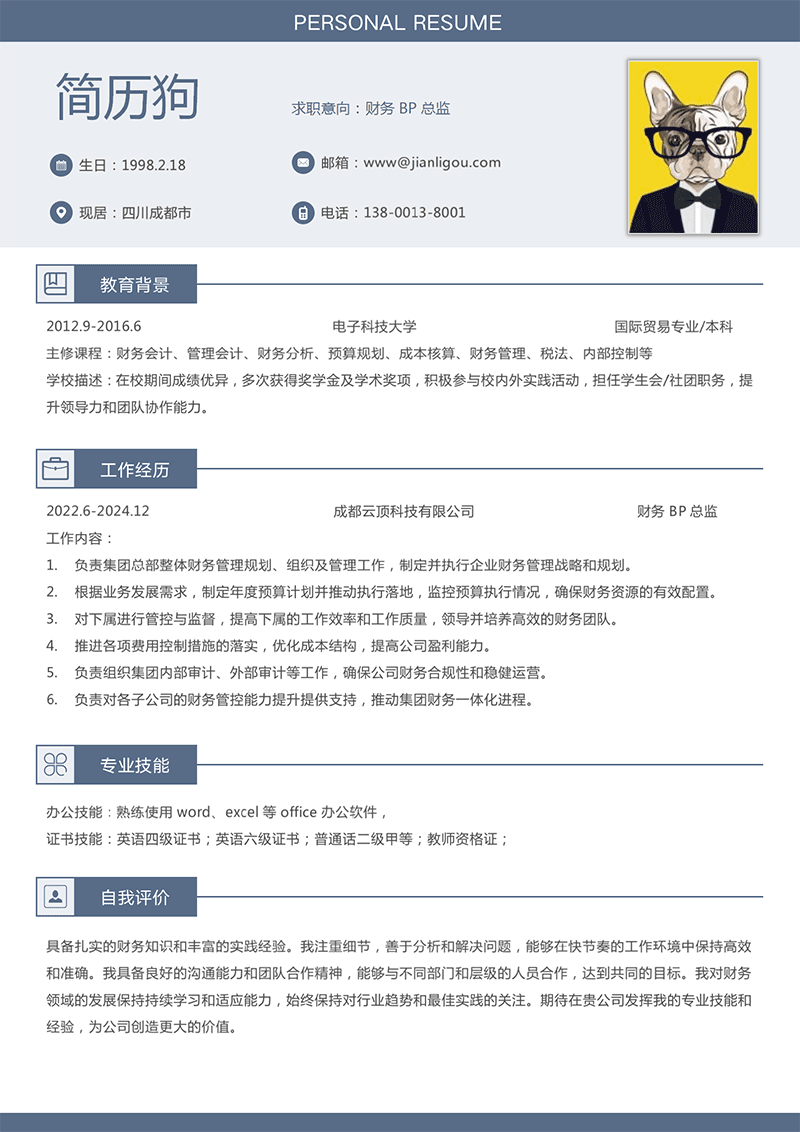 财务BP总监简历模板