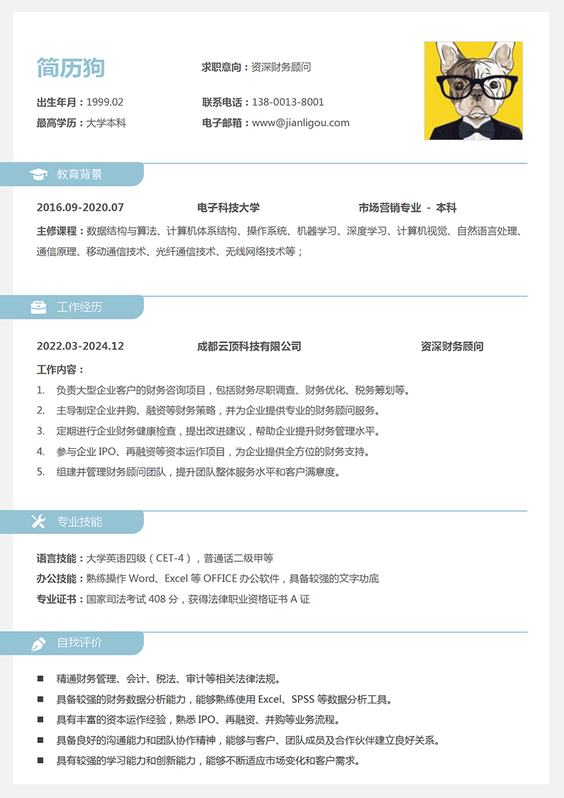 资深财务顾问简历模板