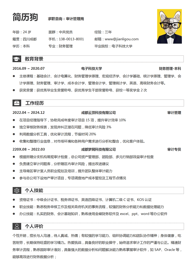 审计管理简历模板