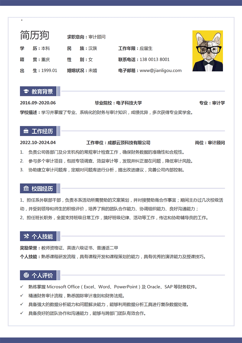 审计顾问简历模板_01.png
