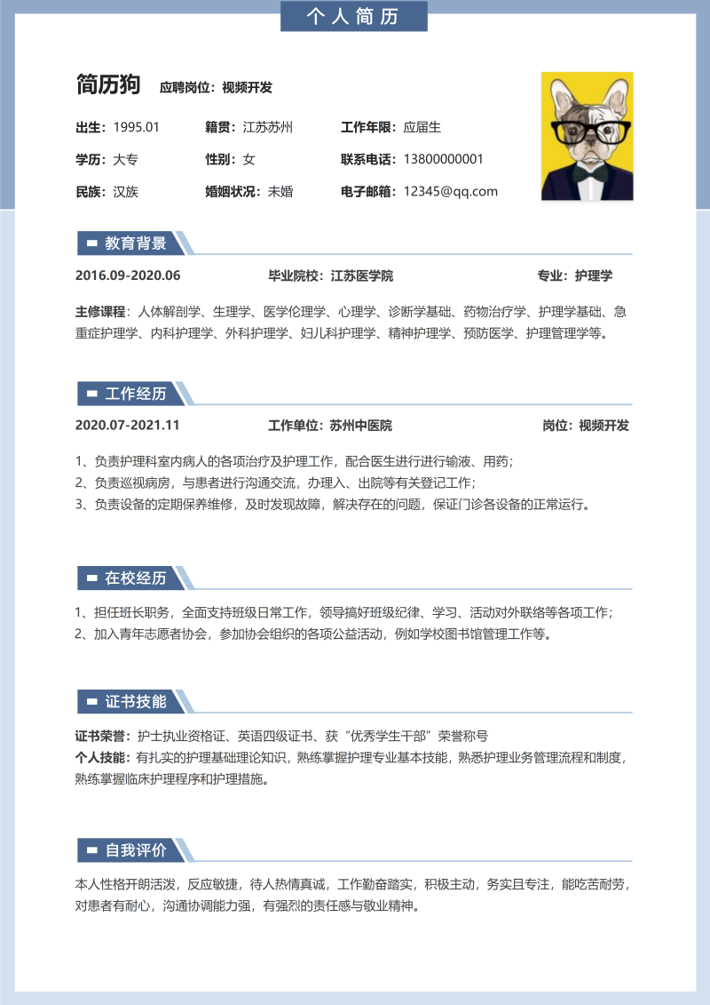 视频开发简历模板