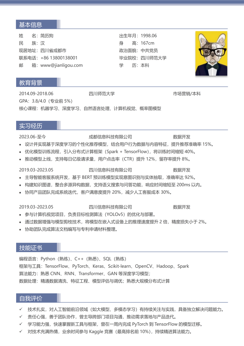 数据开发简历模板